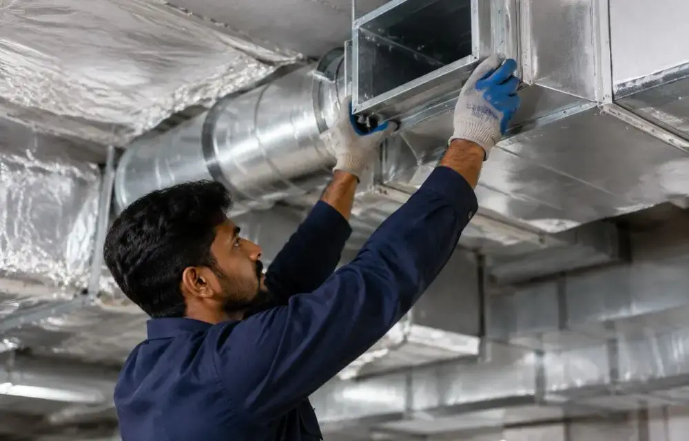 Look for Signs of Damage, such as Cracks or Splits